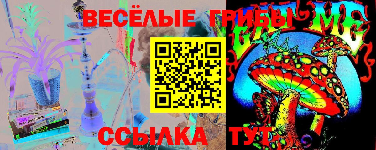 Псилоцибиновые грибы мицелий Губкин