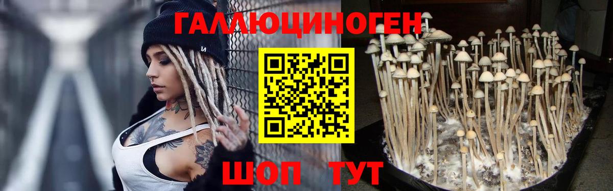 КОКАИН Губкин
